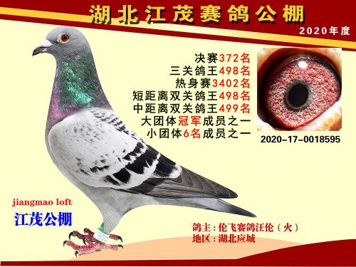 Ѫͳ.�ֲ�����19�격�����9��