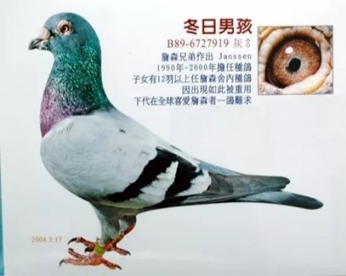 �����к�