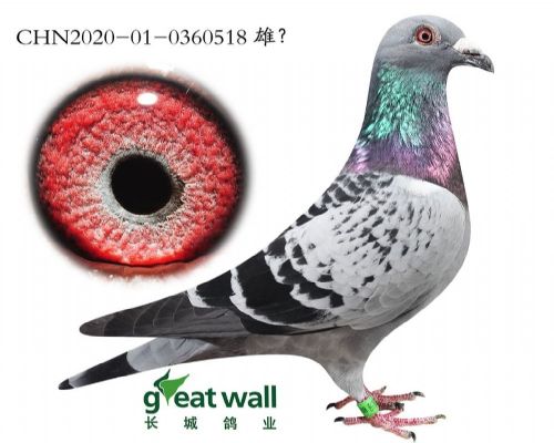 ʷ�ٷ�������˹