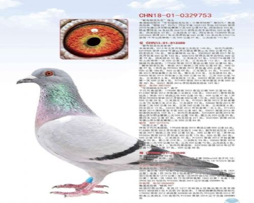 ³������ɭ