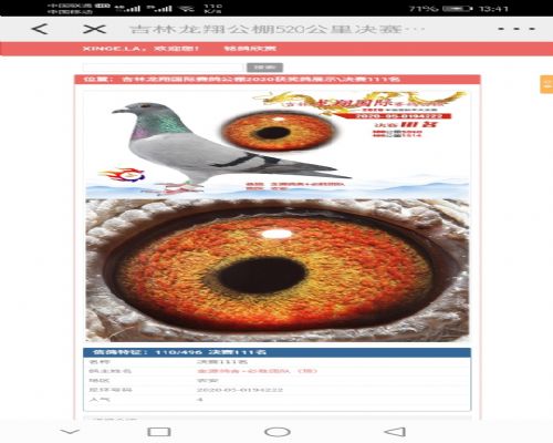 ����ѡ�����蹫��