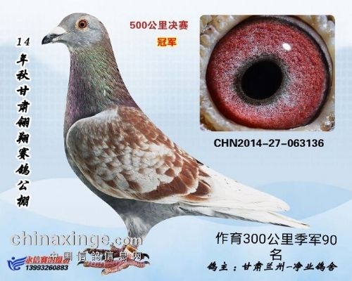 14�����蹫��ھ�