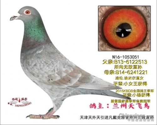 ������ԭ��