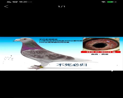 ���а�������