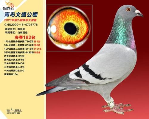 �ൺ��ʢ�񽱸�