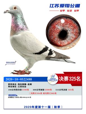 2020�������325��