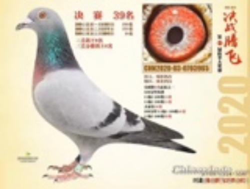 ����