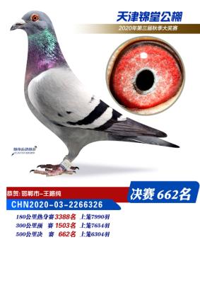 2020�������ù������͸�