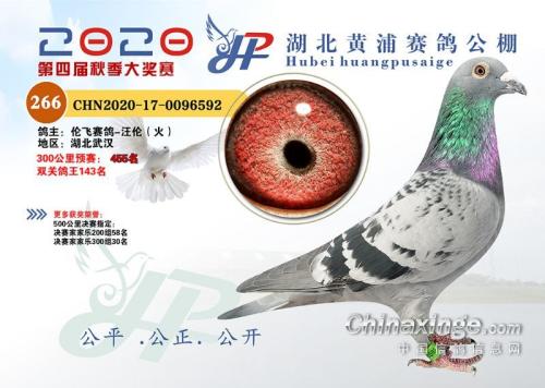 Ѫͳ.��������³����