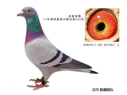 11������