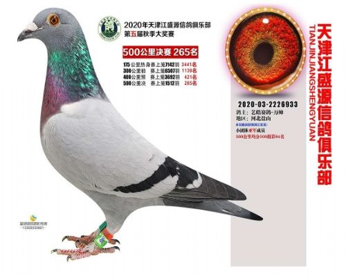 ��ʢԴ����265��