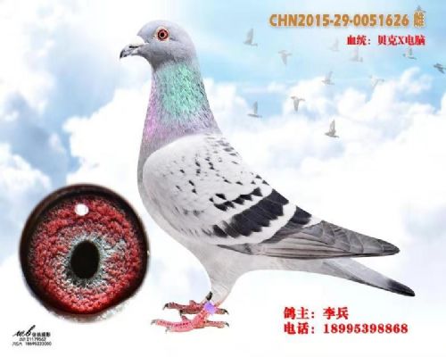 ����x����