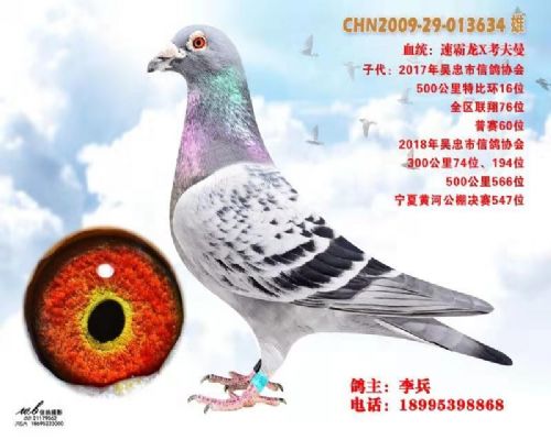 �ٰ���X������