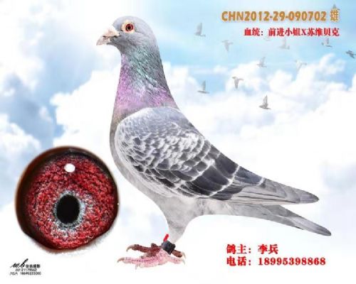 ղɭ019Xǰ��С��