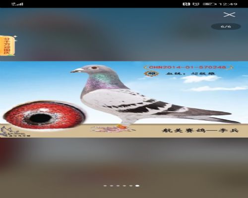 ������x�����ɱ�