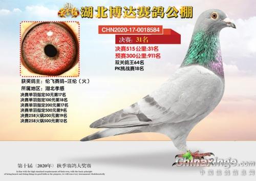 ���﹫�����9�ܵ�����