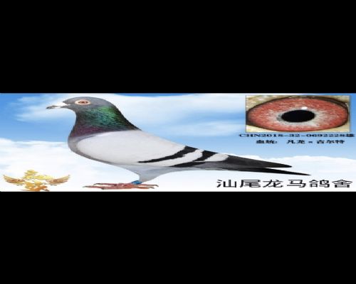 ����X������