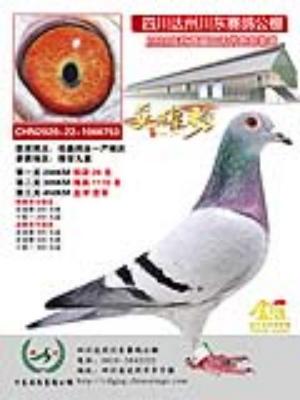 �������ʾ����Ǿ�