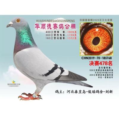 ���������������