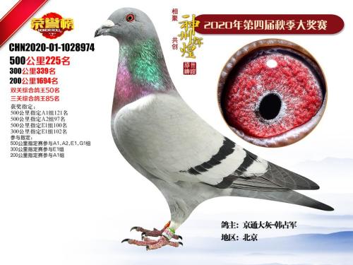 �����36���۸�*��Һز���20