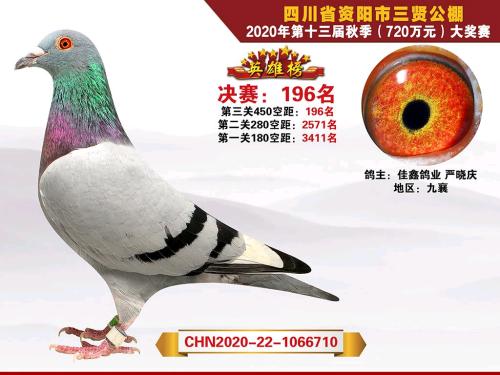 ���;���196��