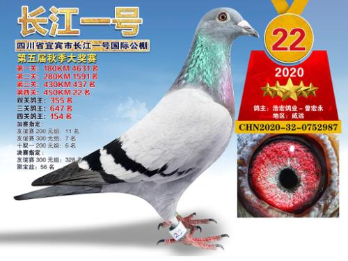 ����437������22