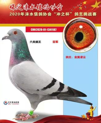 ·������