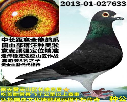 ��Ѫ����