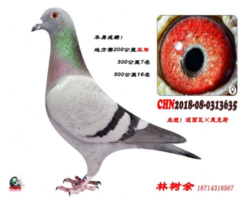 Ů��2020-08-0101391��Ϫ�幫�����228��