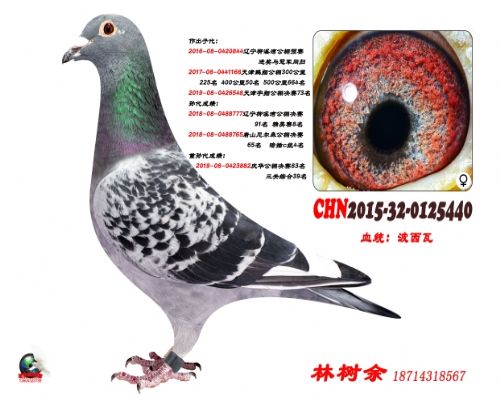 2020-08-0101358�컪Ԥ��137��ָ�����