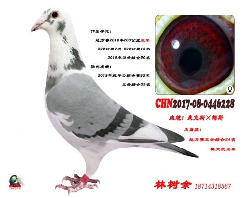 ����Ů2020-08-0101391��Ϫ�幫�����228��