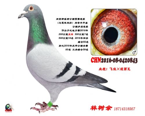 Ů��2020-08-0101302�컪����295��