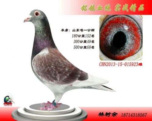 2016-08-0160907������