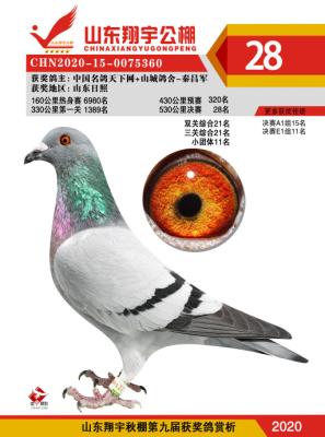 ����28��