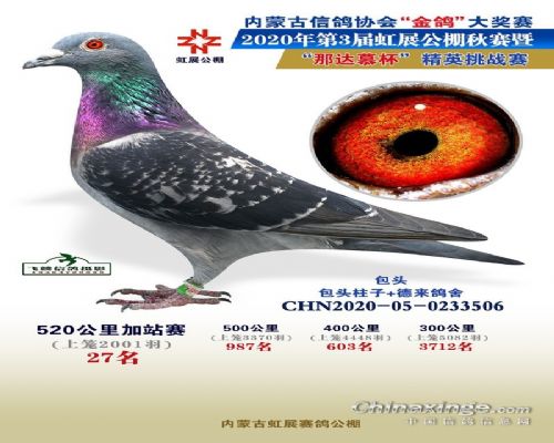 ��ǿ��27��