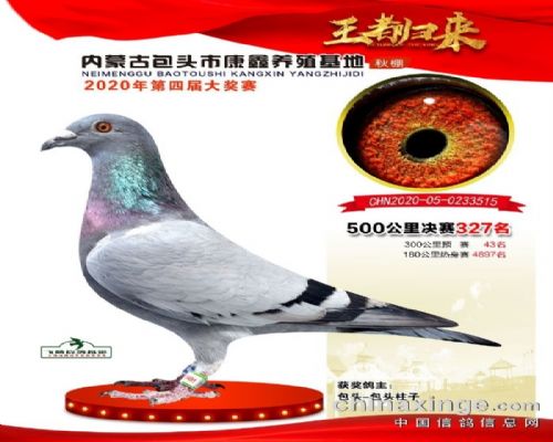 ��ܰ���ظ����ھ�