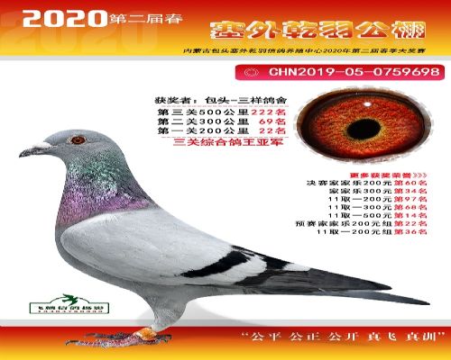 Ǭ������Ǿ�