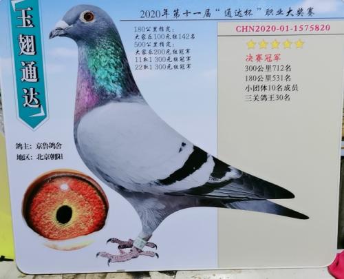 �������ͨ�﹫������ھ�