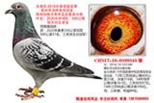 �й������ܹھ�