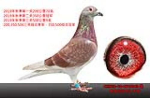 �����Ǿ�