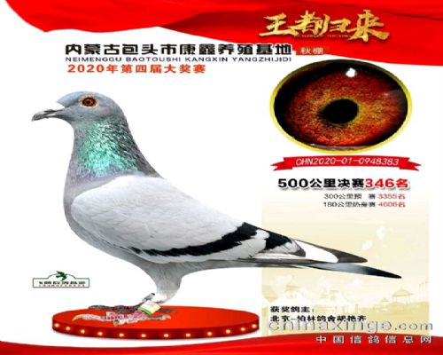 ���˹��ӵ�Ů��