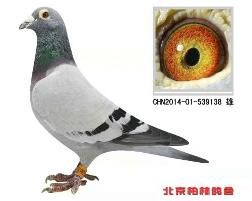 ���˺�����