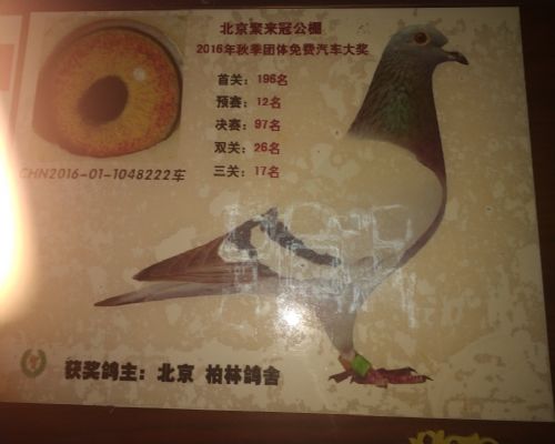 ����Ů��