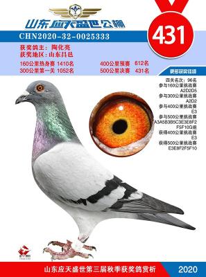 Ӧ��ʢ�����빫��񽱸�