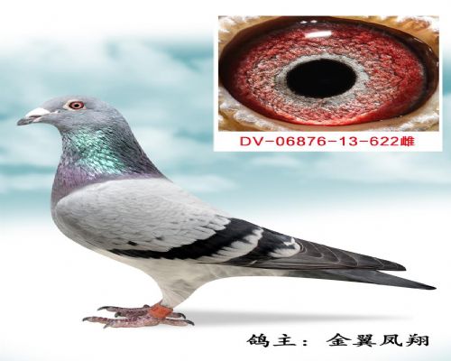 ������ԭ��ھ���