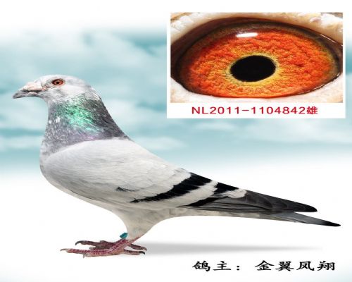 ��˹����ԭ�Ứ��ү