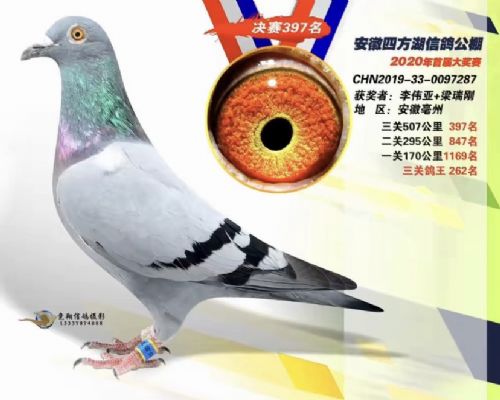 ����񽱸�Ѧ����3��