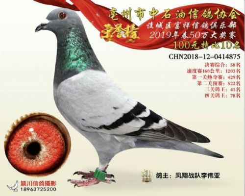 10��������ֱŮ