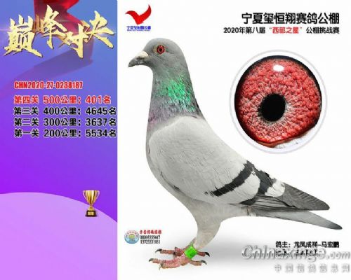 �����D�D����Ի�