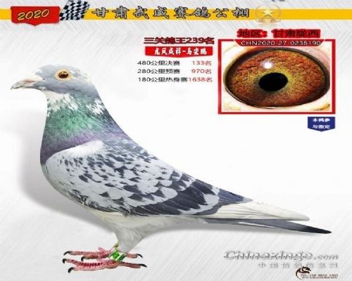 С������